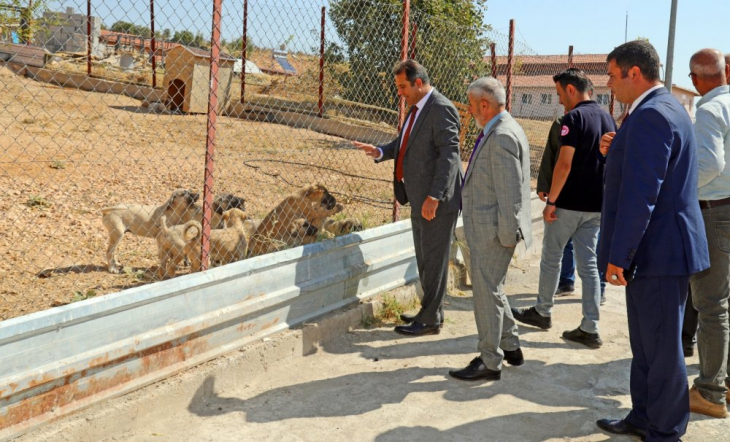 Elazığ Belediyesi Geçici Hayvan Bakımevi ve Rehabilitasyon Merkezi'ne Ziyaret