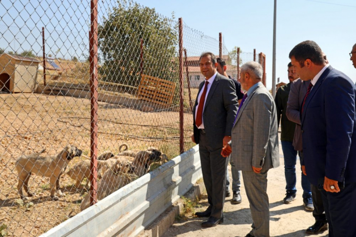 Elazığ Belediyesi Geçici Hayvan Bakımevi ve Rehabilitasyon Merkezi'ne Ziyaret