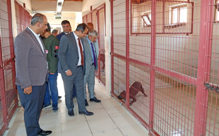 Elazığ Belediyesi Geçici Hayvan Bakımevi ve Rehabilitasyon Merkezi'ne Ziyaret 